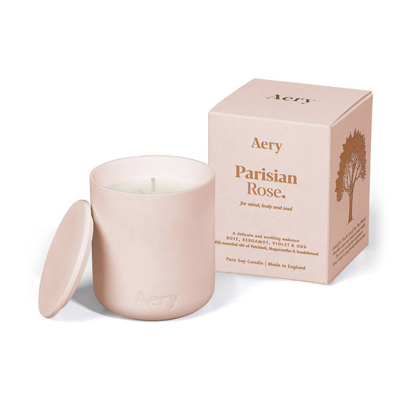 Parisian Rose Scented Fernweh Candle - Pale Pink Clay